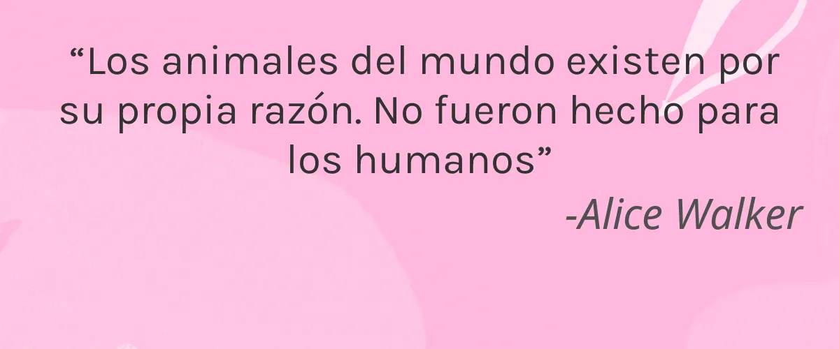 INCIA 4 Cruelty Free INCIA cita-Alice Walker