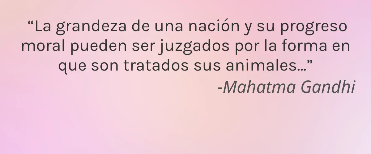Indermica 4 Cruelty Free Indermica cita-Mahatma Gandhi