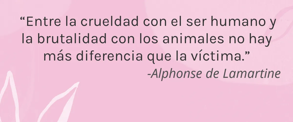iN.gredients 4 Cruelty Free iN.gredients cita-Alphonse de Lamartine