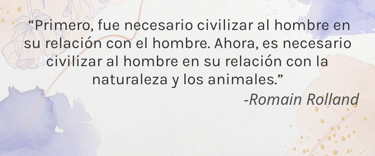 innate Organic Body 4 Cruelty Free innate Organic Body cita-Romain Rolland