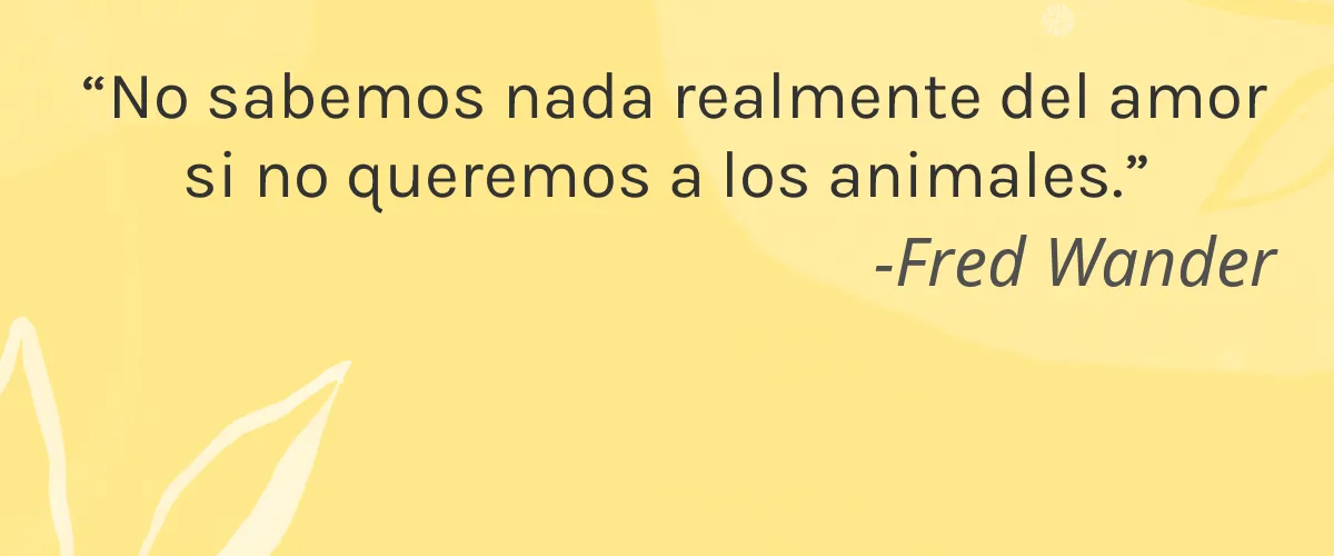 Inoar 4 Cruelty Free Inoar cita-Fred Wander