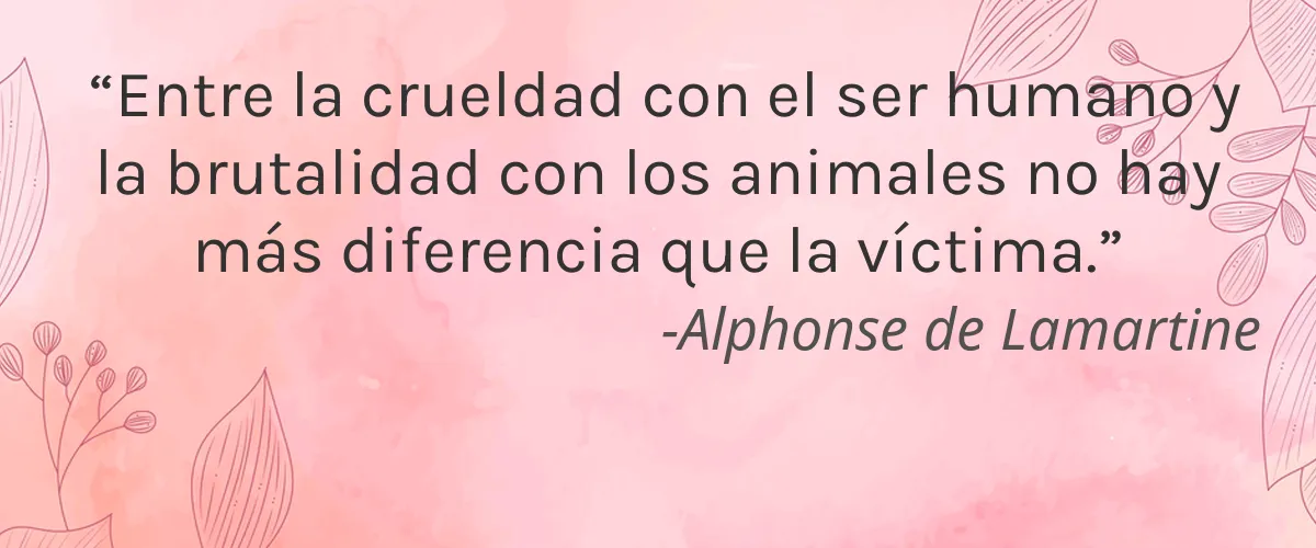 InstaNatural 4 Cruelty Free InstaNatural cita-Alphonse de Lamartine