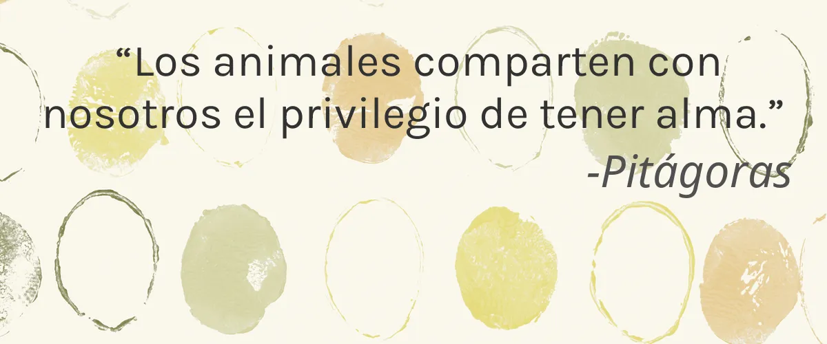 Instant Effects Ltd 4 Cruelty Free Instant Effects Ltd cita-Pitágoras