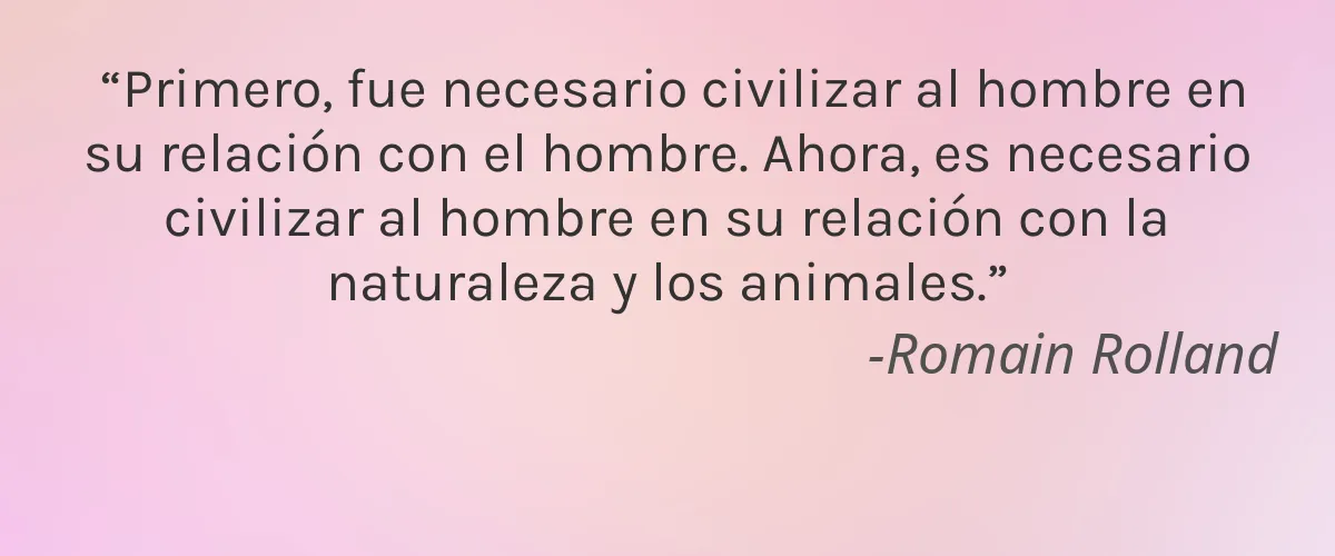 ishop4beauty 4 Cruelty Free ishop4beauty cita-Romain Rolland