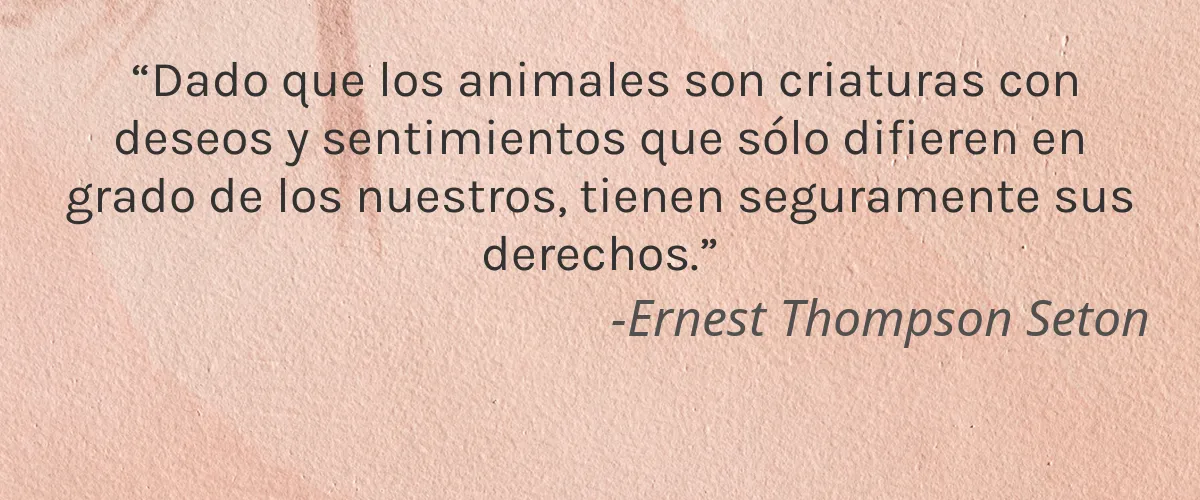 IsiCosmo 4 Cruelty Free IsiCosmo cita-Ernest Thompson Seton