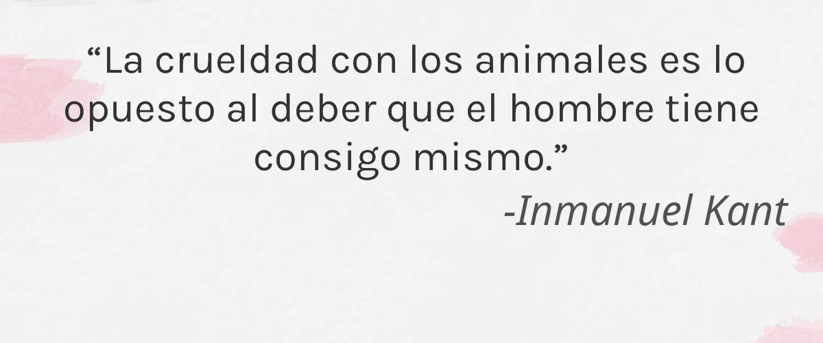 It's Essential 4 Cruelty Free It's Essential cita-Inmanuel Kant