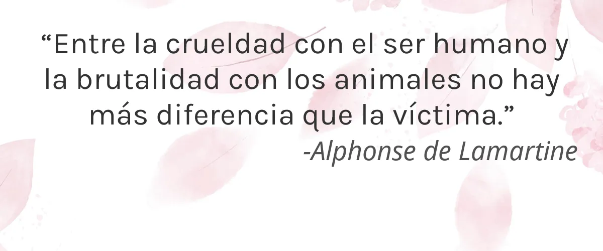IZBA Nature 4 Cruelty Free IZBA Nature cita-Alphonse de Lamartine
