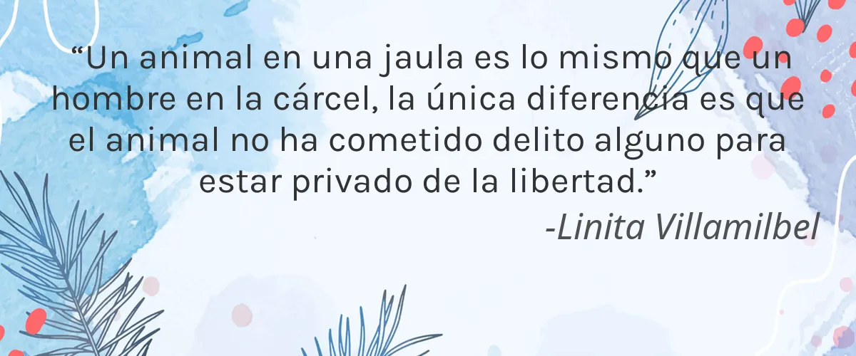Jamie Makeup 4 Cruelty Free Jamie Makeup cita-Linita Villamilbel