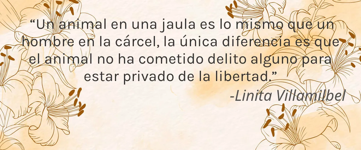 JĀSÖN 4 Cruelty Free JASON cita-Linita Villamilbel