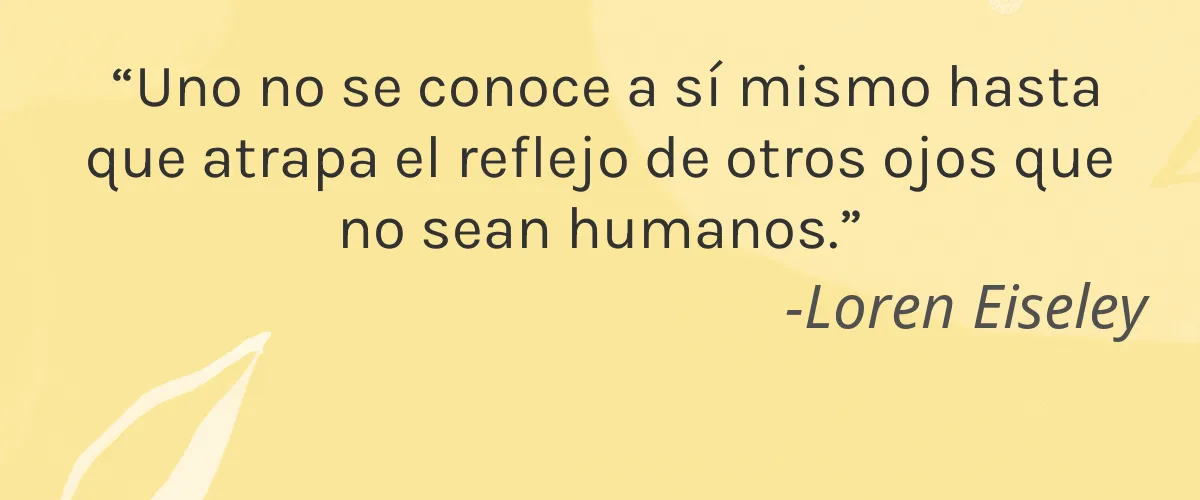 Jess Beauty 4 Cruelty Free Jess Beauty cita-Loren Eiseley