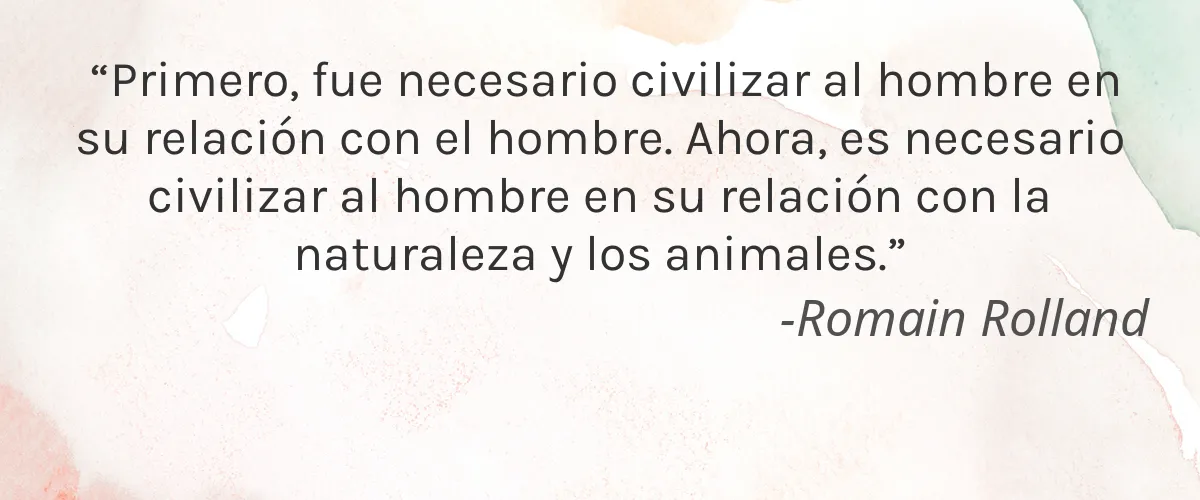 Cruelty Free Jeste Cosmetics cita-Romain Rolland