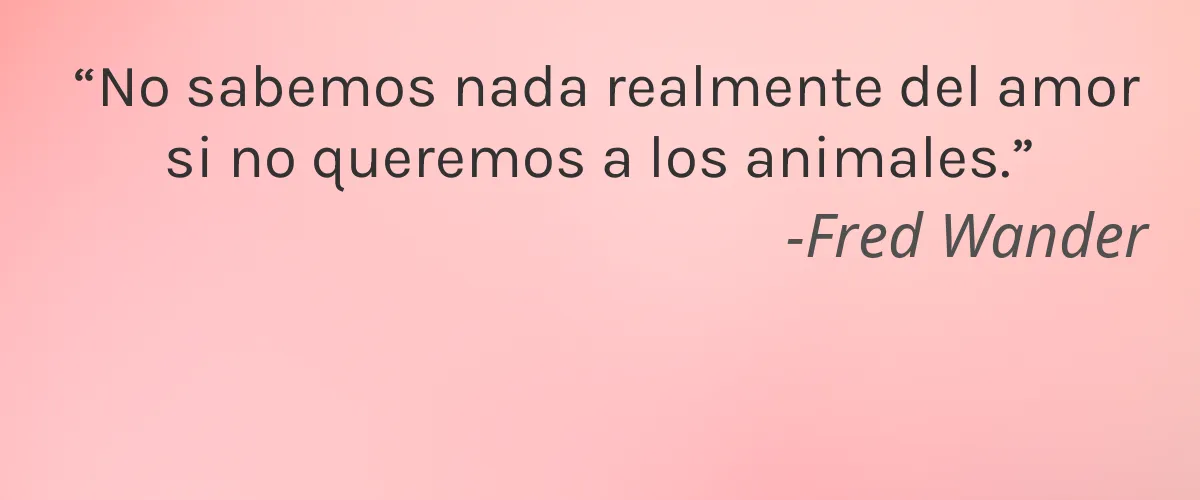 Joico 4 Cruelty Free Joico cita-Fred Wander