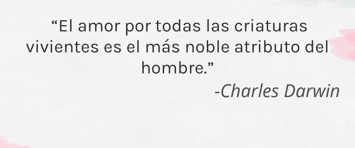 Jojo Glow 4 Cruelty Free Jojo Glow cita-Charles Darwin