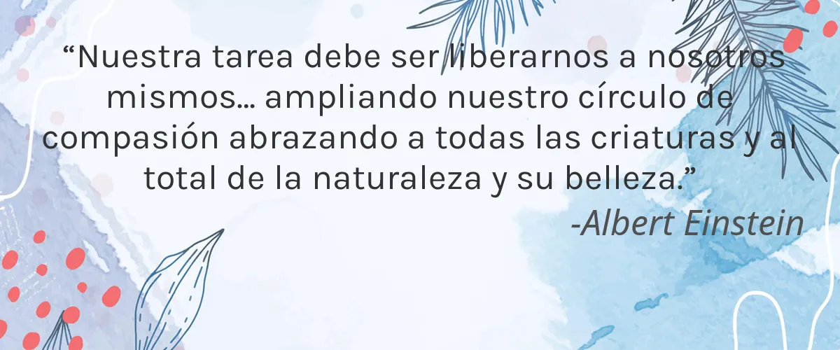 Journ Beauty 4 Cruelty Free Journ Beauty cita-Albert Einstein