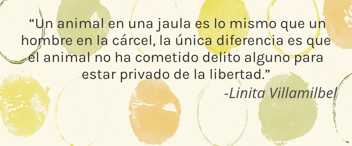 Kalentin 4 Cruelty Free Kalentin cita-Linita Villamilbel