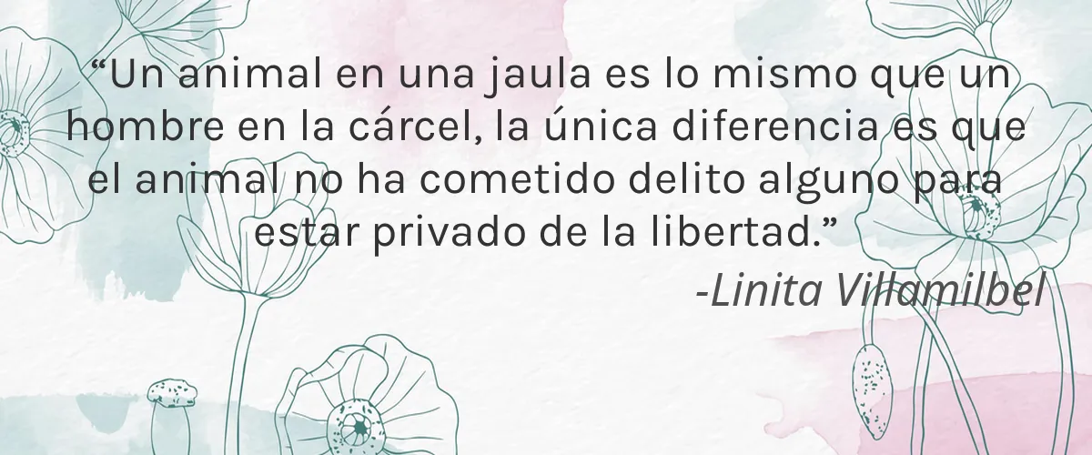 Kari Gran 4 Cruelty Free Kari Gran cita-Linita Villamilbel