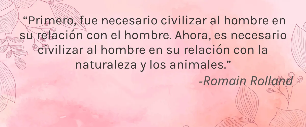 Karibo Beauty 4 Cruelty Free Karibo Beauty cita-Romain Rolland