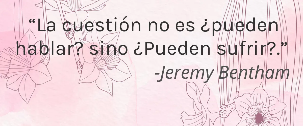 Kat Von D Beauty 5 Cruelty Free Kat Von D Beauty cita-Jeremy Bentham