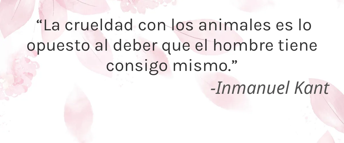 Katavi Botanticals 4 Cruelty Free Katavi Botanticals cita-Inmanuel Kant
