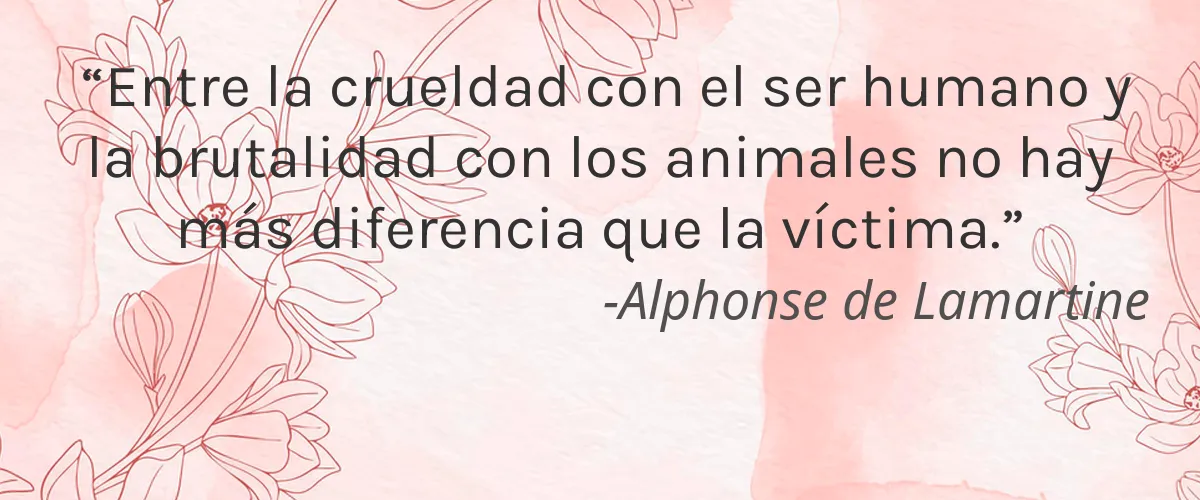 Kathority 4 Cruelty Free Kathority cita-Alphonse de Lamartine
