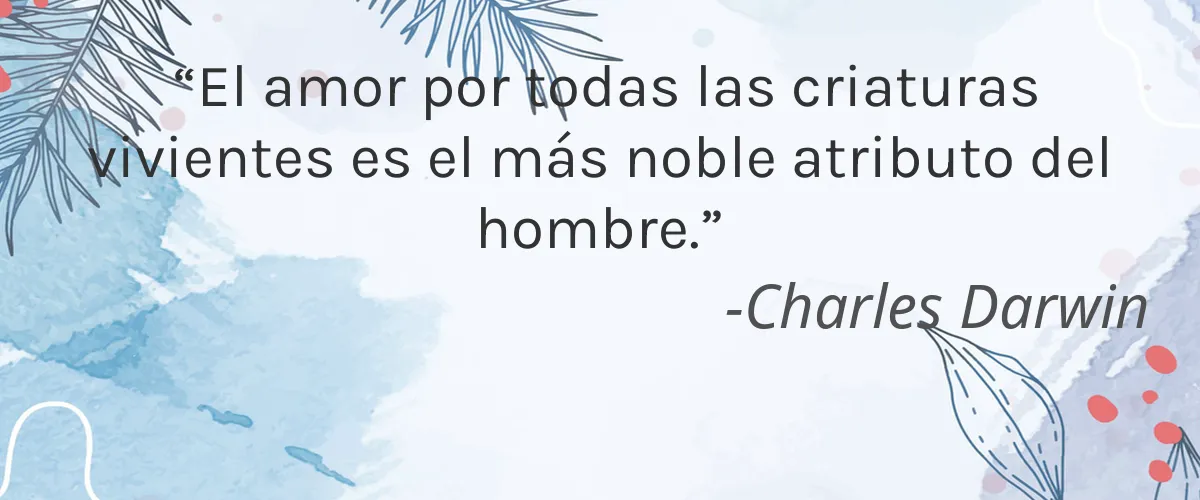 kiki 5 Cruelty Free kiki cita-Charles Darwin