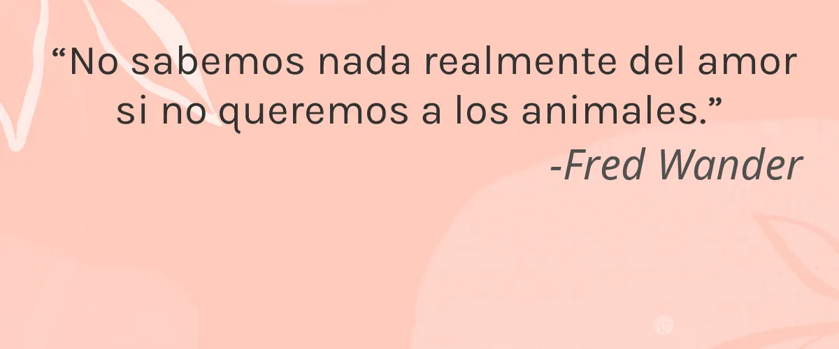 Kinda Skincare 4 Cruelty Free Kinda Skincare cita-Fred Wander