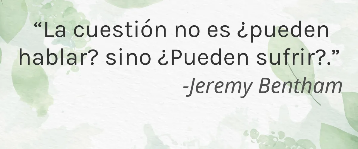 Kinlò 4 Cruelty Free Kinlo cita-Jeremy Bentham