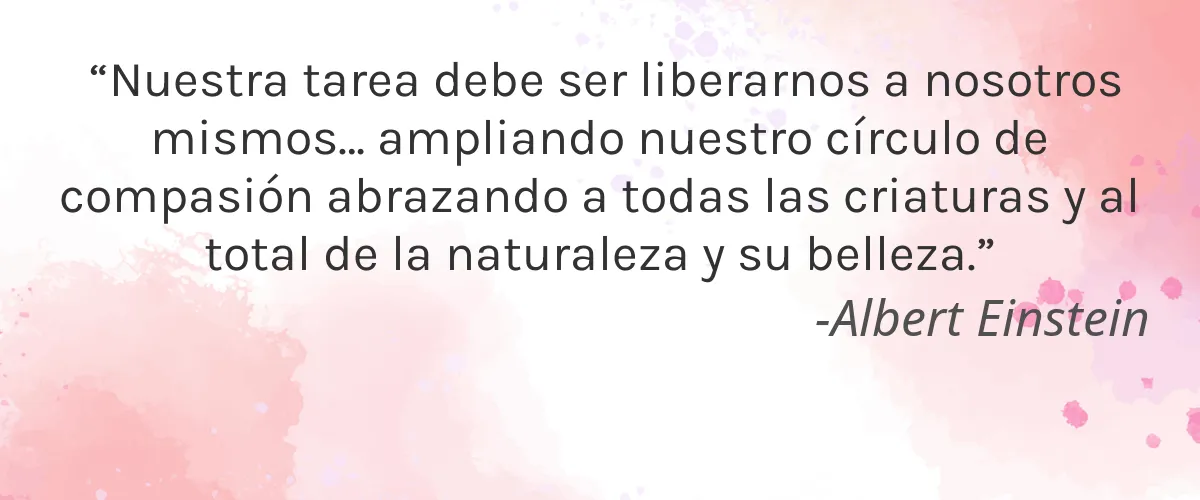 Klainoz 4 Cruelty Free Klainoz cita-Albert Einstein