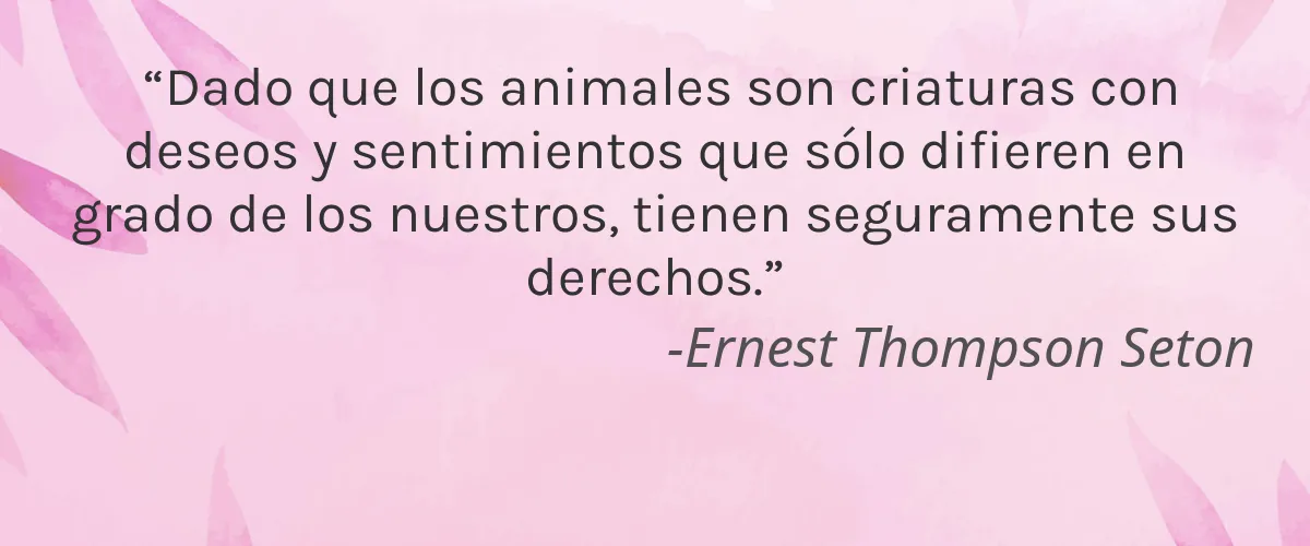 Kleine Auszeit 4 Cruelty Free Kleine Auszeit cita-Ernest Thompson Seton