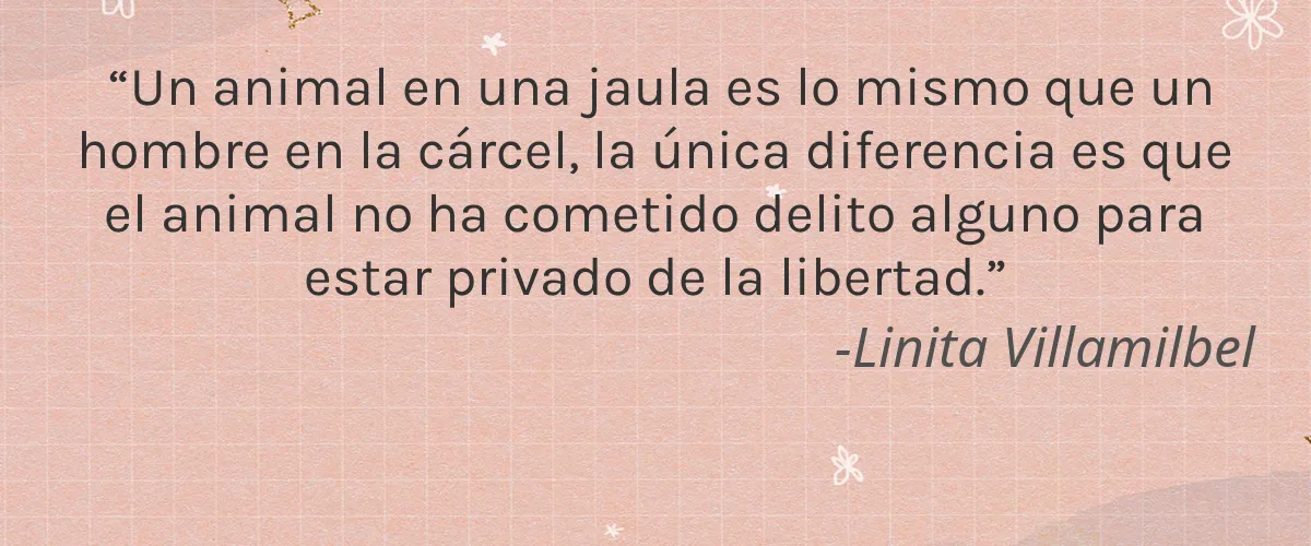 Cruelty Free KolorsbyK cita-Linita Villamilbel