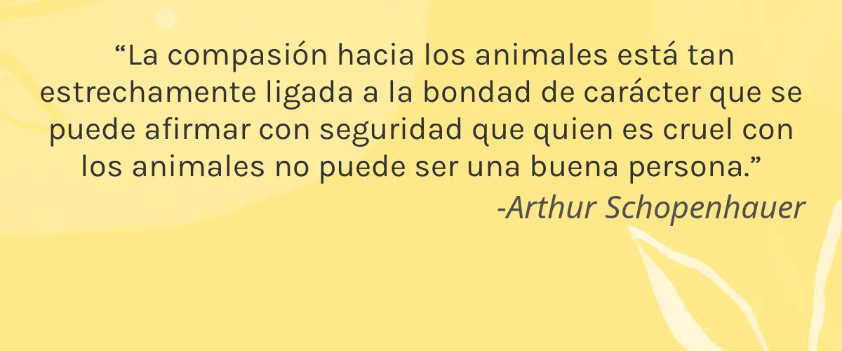 Kspark 4 Cruelty Free Kspark cita-Arthur Schopenhauer