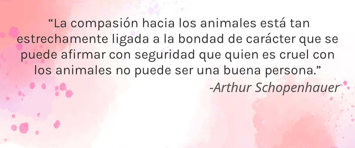 Kuru 4 Cruelty Free Kuru cita-Arthur Schopenhauer