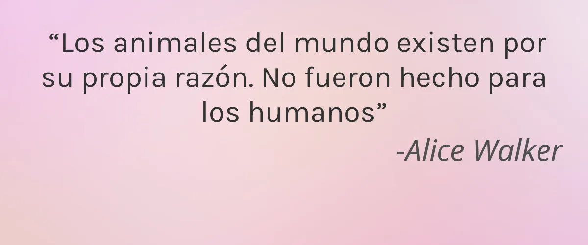 KYOOR 4 Cruelty Free KYOOR cita-Alice Walker
