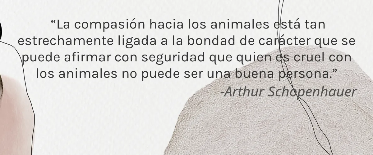 La Ishá 4 Cruelty Free La Isha cita-Arthur Schopenhauer