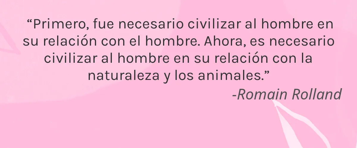 La lessive de Paris 4 Cruelty Free La lessive de Paris cita-Romain Rolland