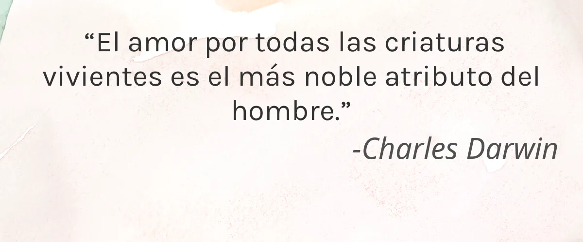 La Mav 4 Cruelty Free La Mav cita-Charles Darwin
