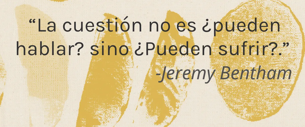 La Saponaria 4 Cruelty Free La Saponaria cita-Jeremy Bentham