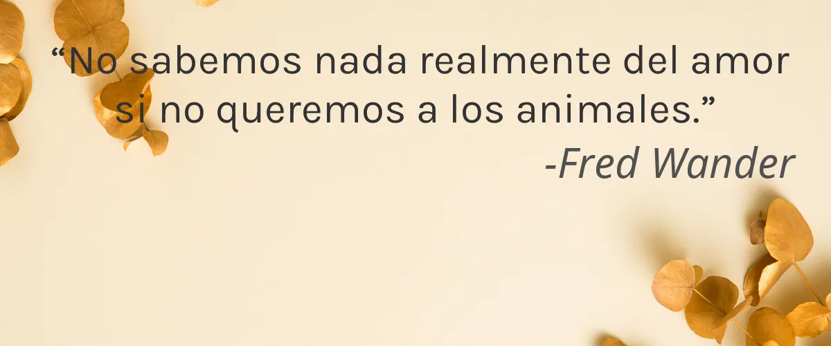 LaBoom 4 Cruelty Free LaBoom cita-Fred Wander