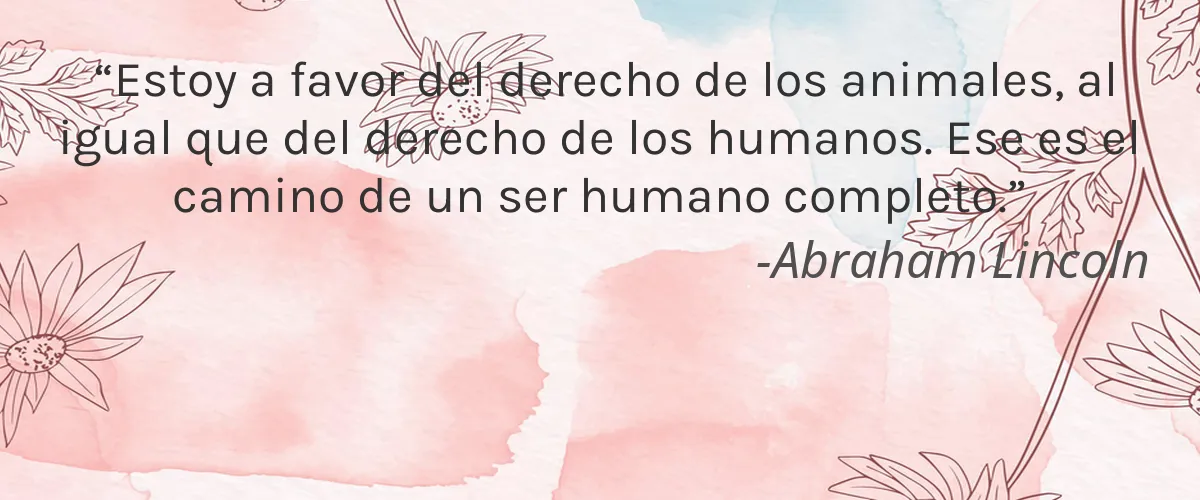 Cruelty Free Laboratoire In Gratia Herbarum cita-Abraham Lincoln