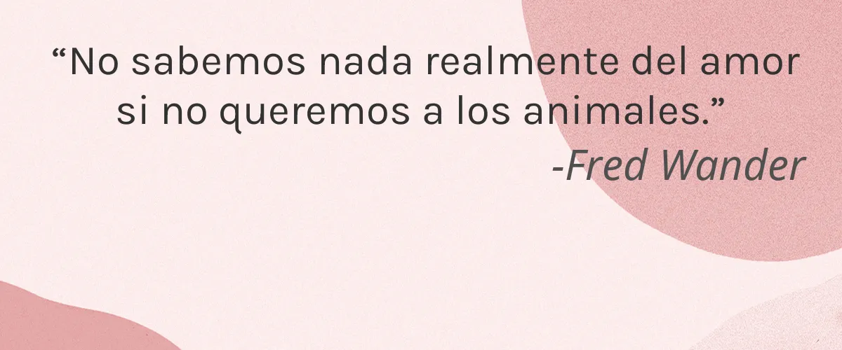 Laboratoires Lea 4 Cruelty Free Laboratoires Lea cita-Fred Wander