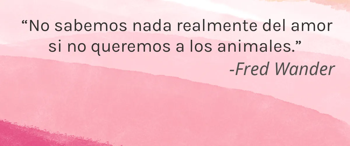 Lakmé 4 Cruelty Free Lakme cita-Fred Wander