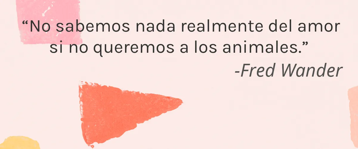 LASHFOOD 4 Cruelty Free LASHFOOD cita-Fred Wander