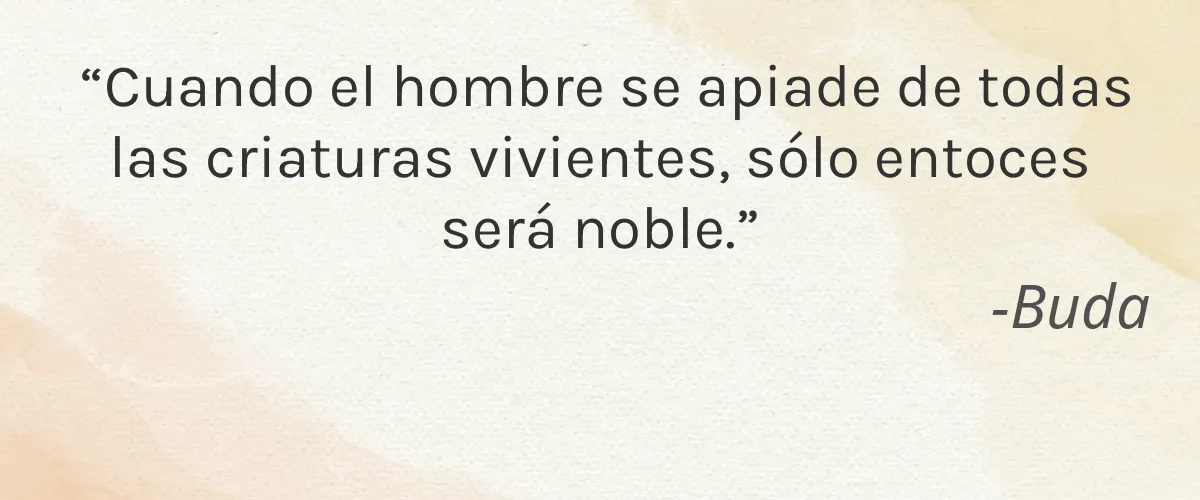 Cruelty Free LAW Beauty Essentials cita-Buda