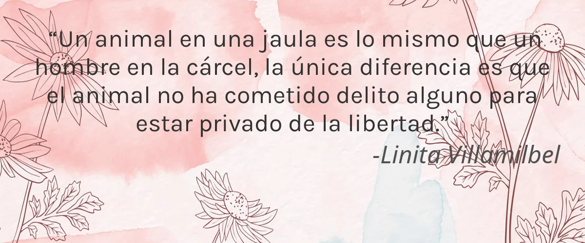LEKKO Aesthetics 4 Cruelty Free LEKKO Aesthetics cita-Linita Villamilbel