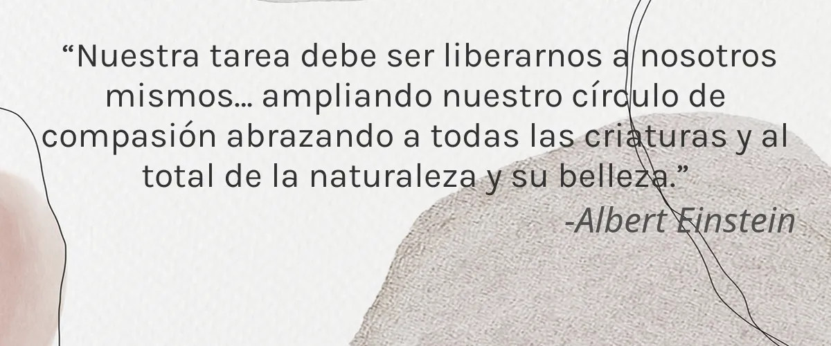 LeRêve 4 Cruelty Free LeReve cita-Albert Einstein