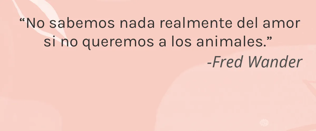 L'EUDINE 4 Cruelty Free L'EUDINE cita-Fred Wander