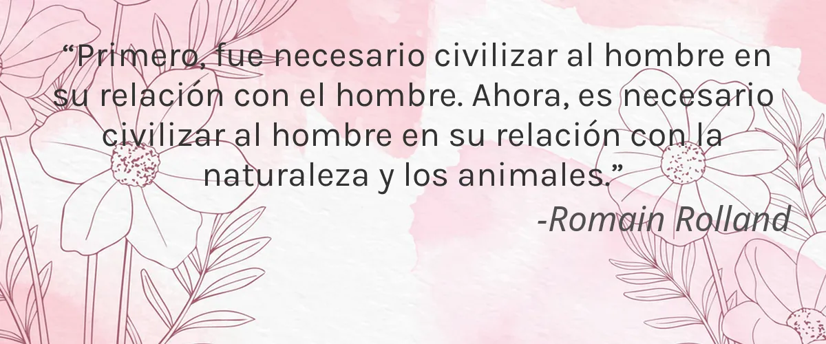 LEVRANA 4 Cruelty Free LEVRANA cita-Romain Rolland