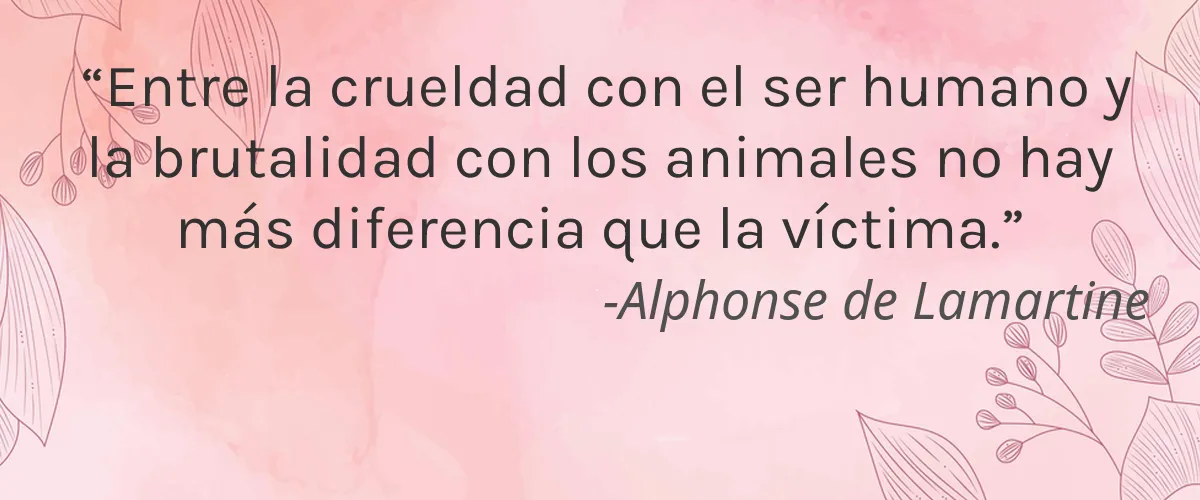 LEXLI 4 Cruelty Free LEXLI cita-Alphonse de Lamartine