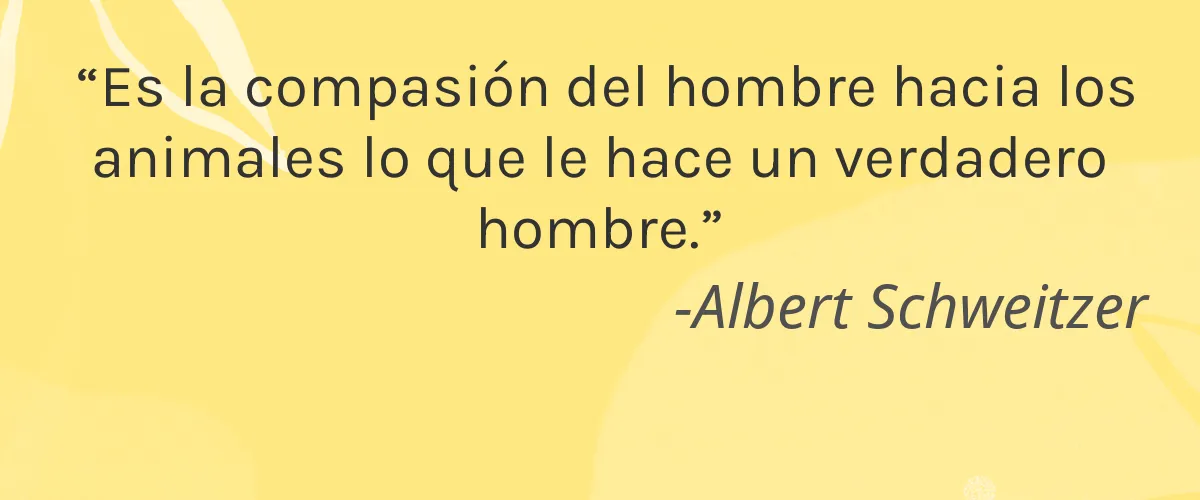 Libélula Natural 4 Cruelty Free Libelula Natural cita-Albert Schweitzer