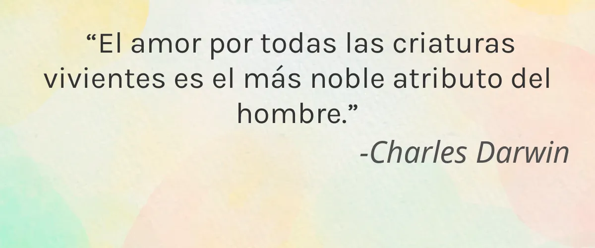 LinoGel 4 Cruelty Free LinoGel cita-Charles Darwin